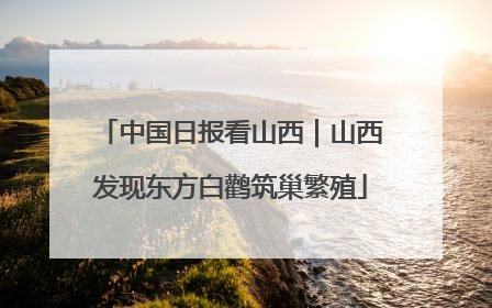 中国日报看山西｜山西发现东方白鹳筑巢繁殖