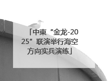中柬“金龙-2025”联演举行海空方向实兵演练