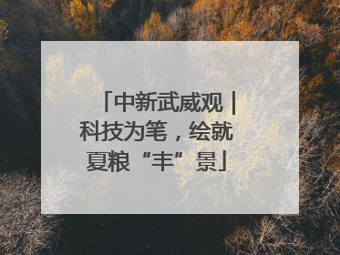 中新武威观｜科技为笔，绘就夏粮“丰”景