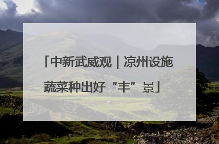 中新武威观｜凉州设施蔬菜种出好“丰”景