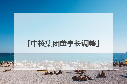 中核集团董事长调整