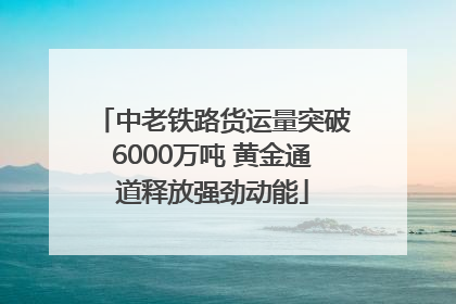 中老铁路货运量突破6000万吨 黄金通道释放强劲动能
