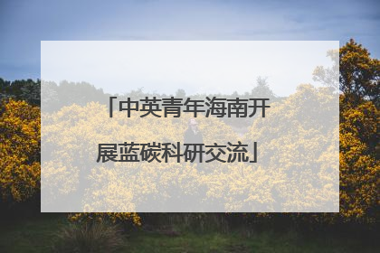 中英青年海南开展蓝碳科研交流