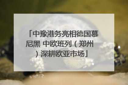 中豫港务亮相德国慕尼黑 中欧班列（郑州）深耕欧亚市场