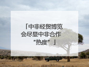 中非经贸博览会尽显中非合作“热度”