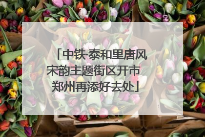 中铁·泰和里唐风宋韵主题街区开市 郑州再添好去处