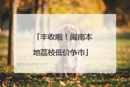 丰收啦！闽南本地荔枝低价争市