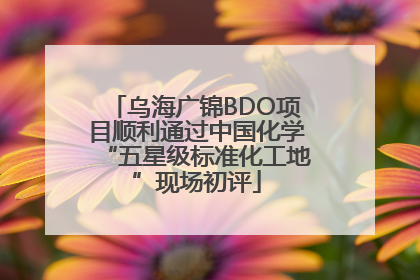 乌海广锦BDO项目顺利通过中国化学“五星级标准化工地”现场初评