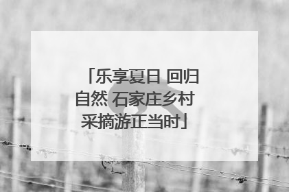 乐享夏日 回归自然 石家庄乡村采摘游正当时