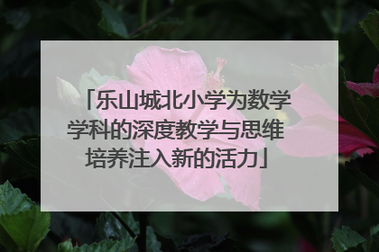 乐山城北小学为数学学科的深度教学与思维培养注入新的活力