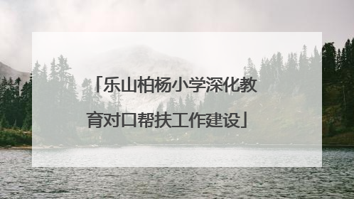 乐山柏杨小学深化教育对口帮扶工作建设