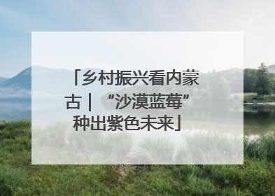 乡村振兴看内蒙古｜“沙漠蓝莓”种出紫色未来