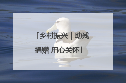 乡村振兴｜助残捐赠 用心关怀