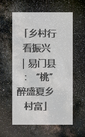 乡村行 看振兴｜易门县：“桃”醉盛夏乡村富