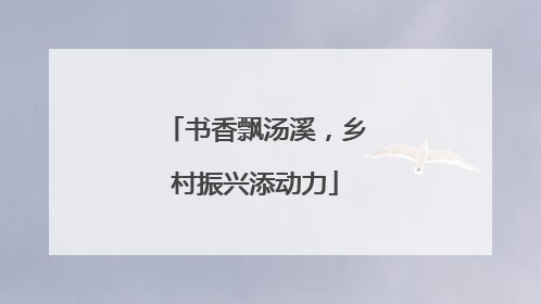 书香飘汤溪，乡村振兴添动力