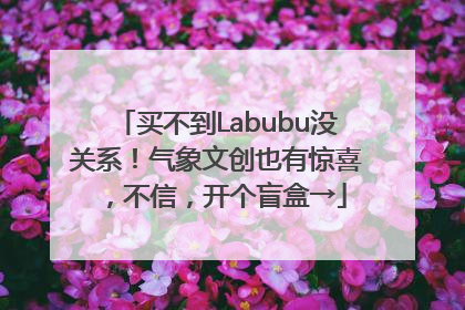 买不到Labubu没关系！气象文创也有惊喜，不信，开个盲盒→