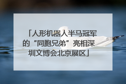 人形机器人半马冠军的“同胞兄弟”亮相深圳文博会北京展区
