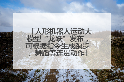 人形机器人运动大模型“龙跃”发布，可根据指令生成跑步、舞蹈等连贯动作