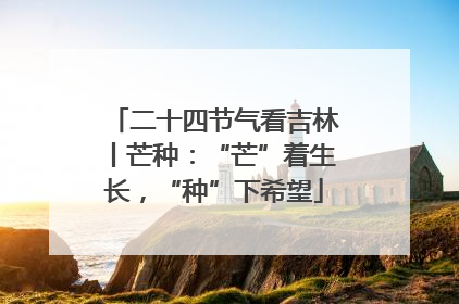 二十四节气看吉林丨芒种：“芒”着生长，“种”下希望