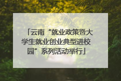 云南“就业政策暨大学生就业创业典型进校园”系列活动举行