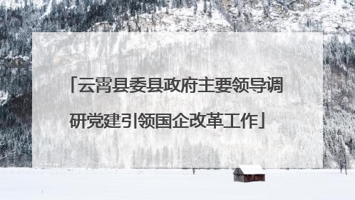 云霄县委县政府主要领导调研党建引领国企改革工作