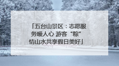 五台山景区：志愿服务暖人心 游客“粽”情山水共享假日美好