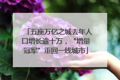 五座万亿之城去年人口增长逾十万，“增量冠军”重回一线城市