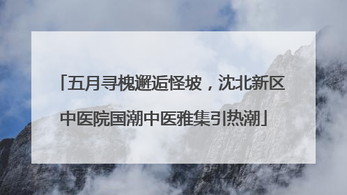 五月寻槐邂逅怪坡，沈北新区中医院国潮中医雅集引热潮