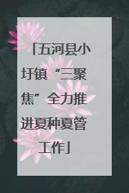 五河县小圩镇“三聚焦”全力推进夏种夏管工作