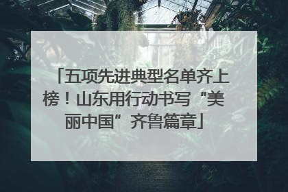 五项先进典型名单齐上榜！山东用行动书写“美丽中国”齐鲁篇章