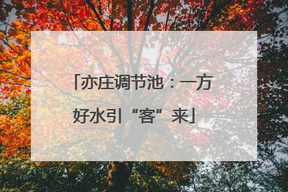 亦庄调节池：一方好水引“客”来