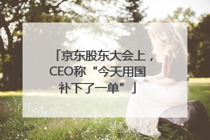 京东股东大会上，CEO称“今天用国补下了一单”