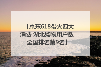 京东618带火四大消费 湖北购物用户数全国排名第9名