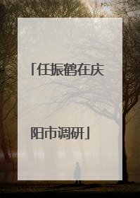 任振鹤在庆阳市调研