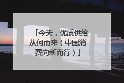 今天，优质供给从何而来（中国消费向新而行）