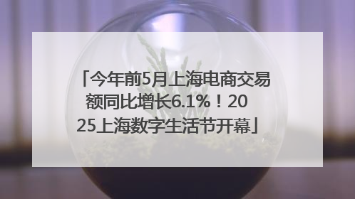 今年前5月上海电商交易额同比增长6.1%！2025上海数字生活节开幕