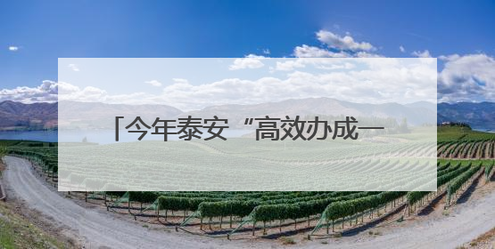今年泰安“高效办成一件事”国定12个、省定2个事项正有序推进