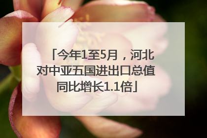 今年1至5月，河北对中亚五国进出口总值同比增长1.1倍