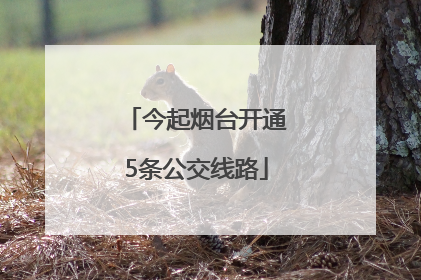 今起烟台开通5条公交线路