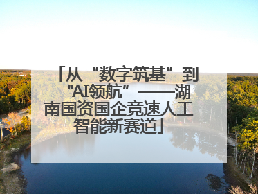 从“数字筑基”到“AI领航”——湖南国资国企竞速人工智能新赛道