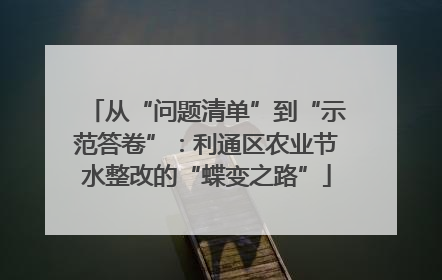从“问题清单”到“示范答卷”：利通区农业节水整改的“蝶变之路”