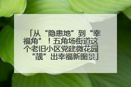 从“隐患地”到“幸福角”！五角场街道这个老旧小区党建微花园“靓”出幸福新图景
