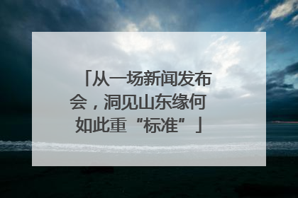 从一场新闻发布会，洞见山东缘何如此重“标准”