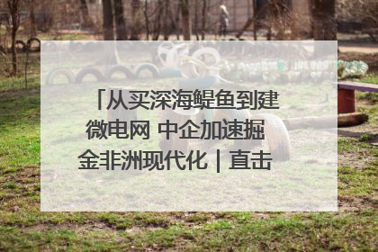 从买深海鳀鱼到建微电网 中企加速掘金非洲现代化｜直击中非经贸博览会