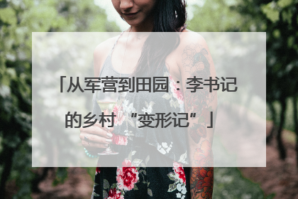 从军营到田园：李书记的乡村 “变形记”