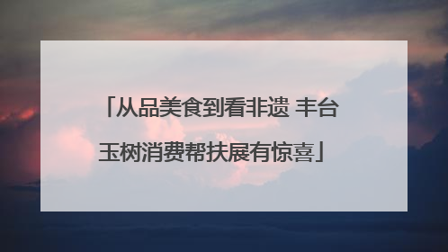从品美食到看非遗 丰台玉树消费帮扶展有惊喜