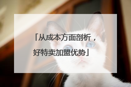 从成本方面剖析，好特卖加盟优势