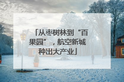 从枣树林到“百果园”，航空新城种出大产业