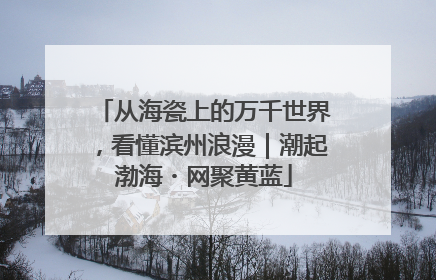 从海瓷上的万千世界，看懂滨州浪漫｜潮起渤海・网聚黄蓝