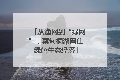 从渔网到“绿网”，蔡甸桐湖网住绿色生态经济